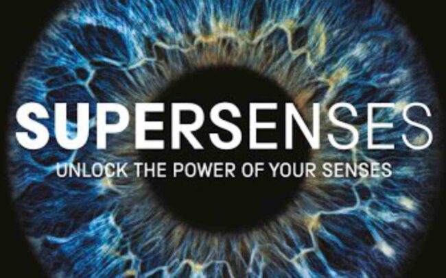 Supersenses, Bradford, Science Museum ©Di Mainstone